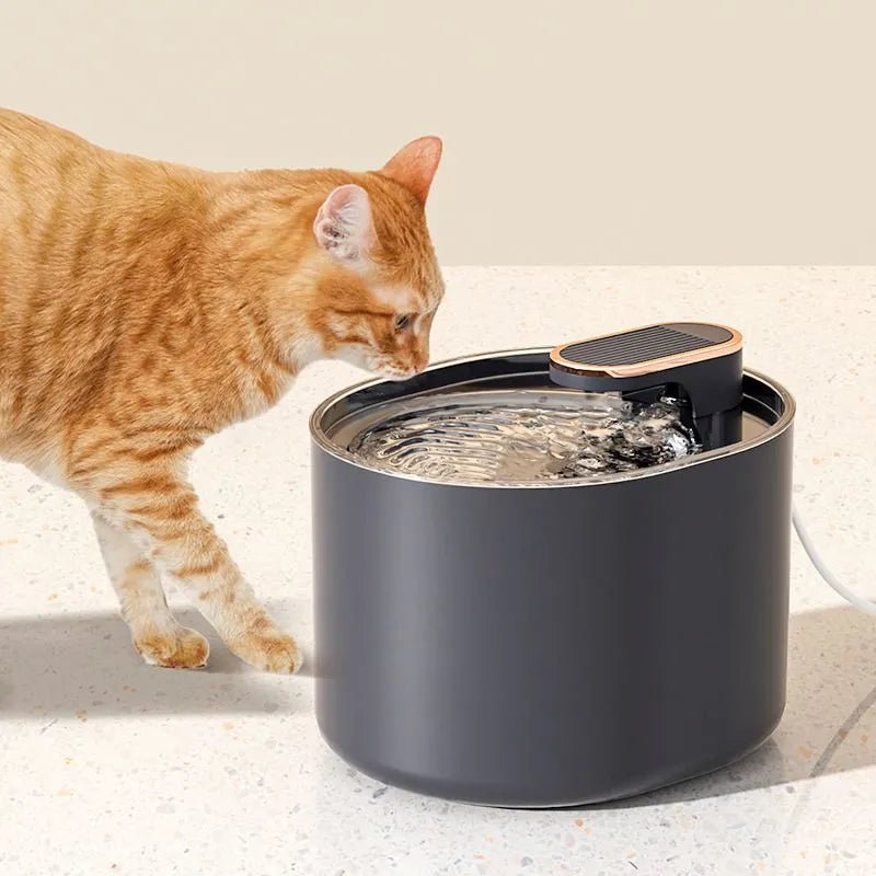 3L LED Water Fountain - Pets Paradise
