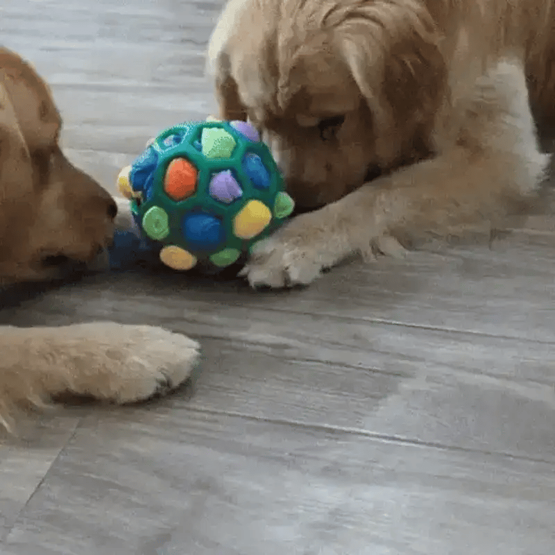Snuffy™ - Stimuleringsboll | The Ultimate Solution for Your Dog’s Well-Being