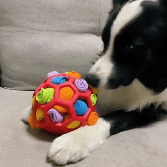 Snuffy™ - Stimuleringsboll | The Ultimate Solution for Your Dog’s Well-Being