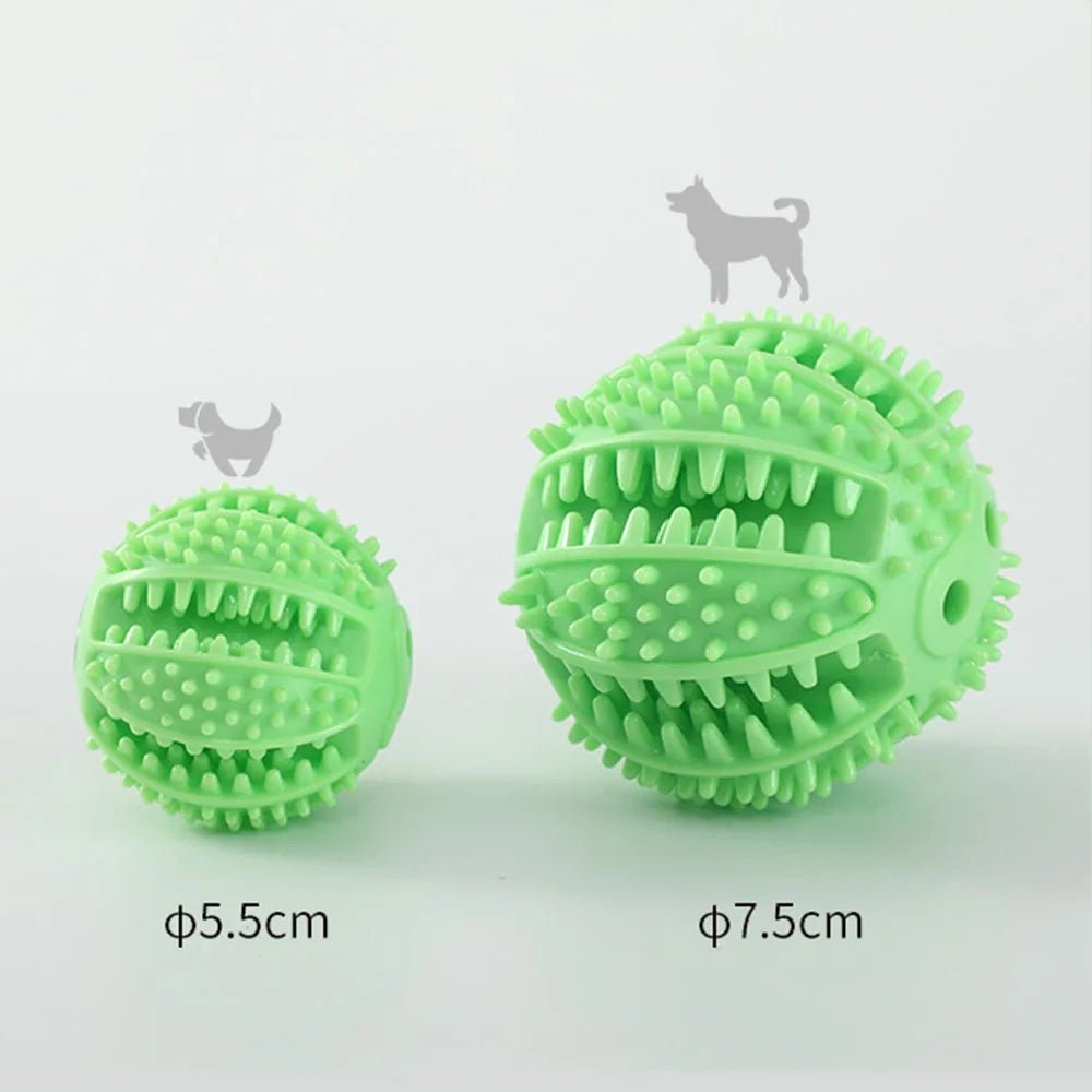 Dog Ball Chew Toy - Pets Paradise