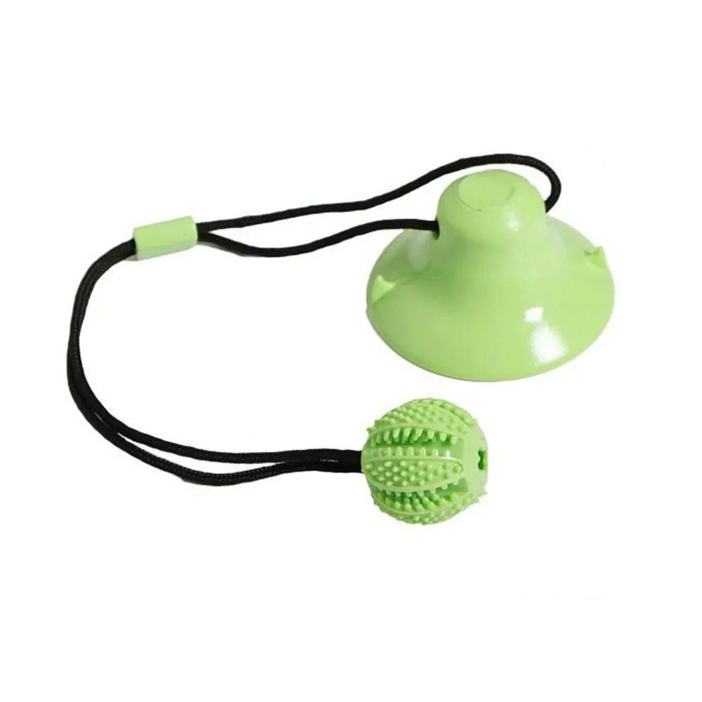 Dog Ball Chew Toy - Pets Paradise