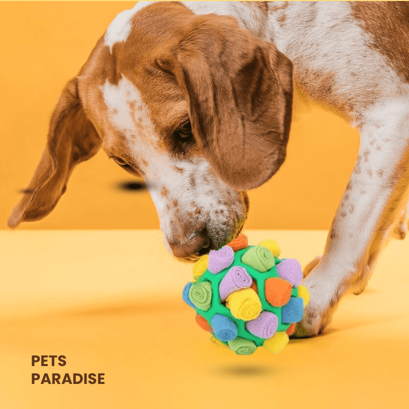 Snuffy™ - Stimuleringsboll | The Ultimate Solution for Your Dog’s Well-Being