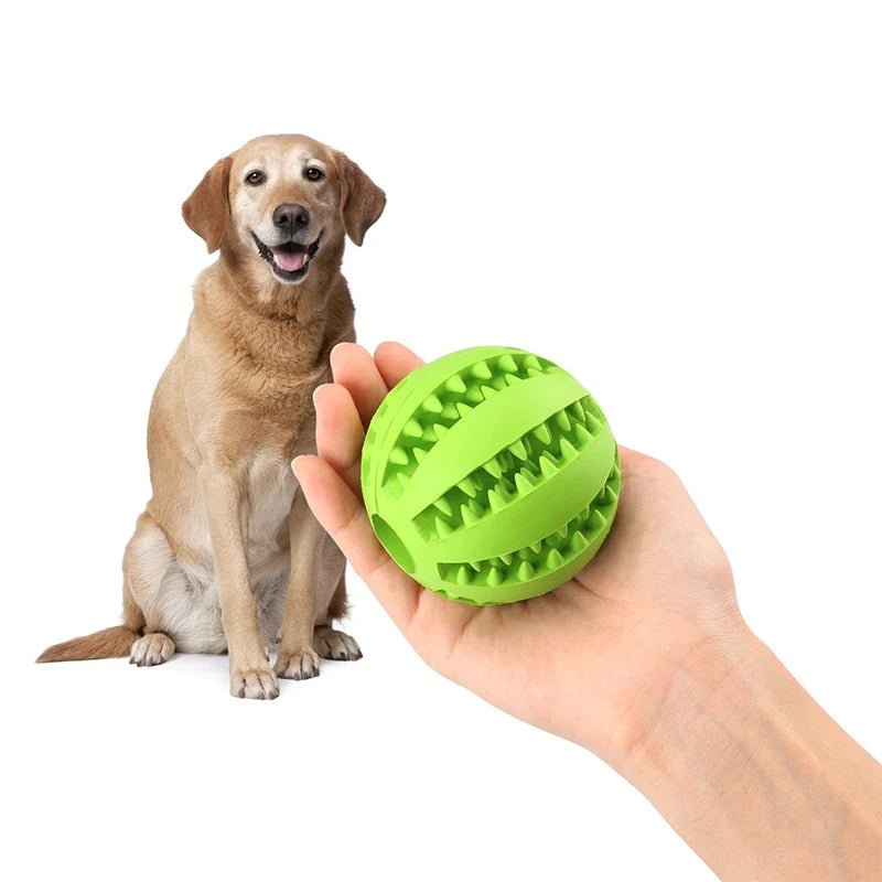 Interactive Rubber Ball - Pets Paradise