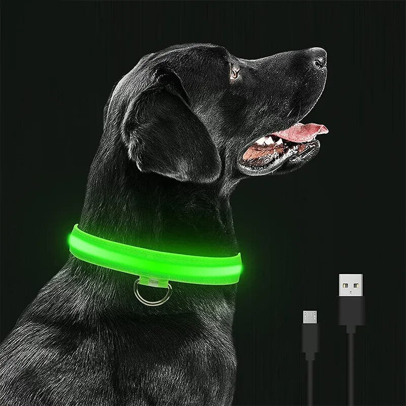LED Dog Collar - Pets Paradise
