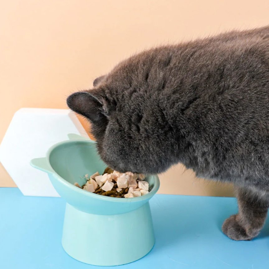 Raised Cat Shaped Bowl - Pets Paradise