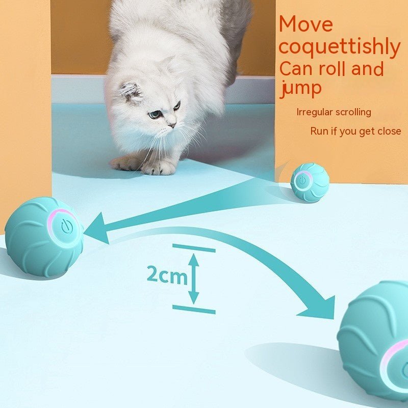 Smart Ball Cat Toy - Pets Paradise
