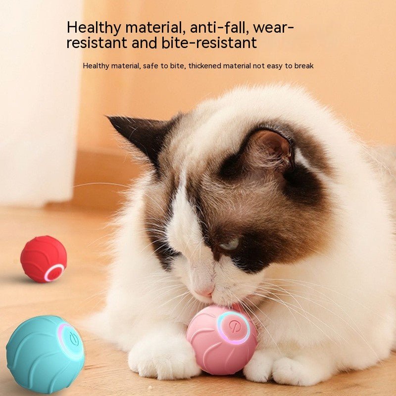 Smart Ball Cat Toy - Pets Paradise