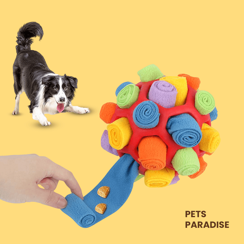 Snuffy™ - Stimuleringsboll | The Ultimate Solution for Your Dog’s Well-Being