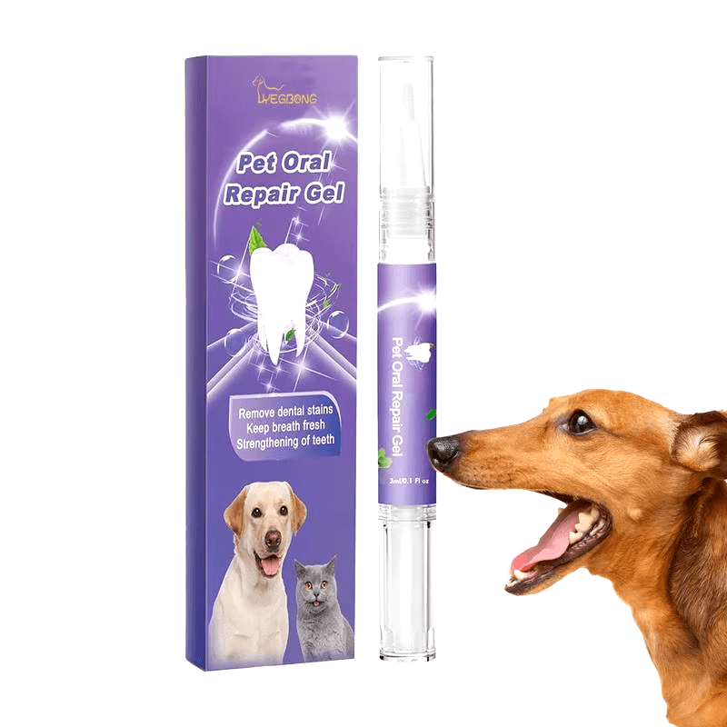 Pet Oral Repair Pen | A Fresh Start for Your Pet’s Oral Health!