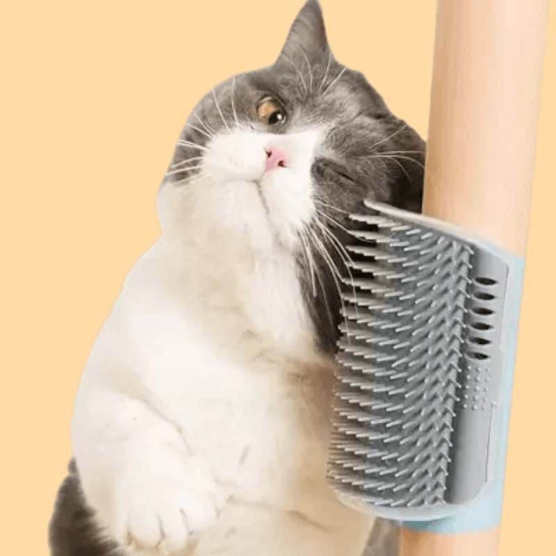 Cat Horn Massage | The Perfect Self-Grooming Tool for Your Furry Friend