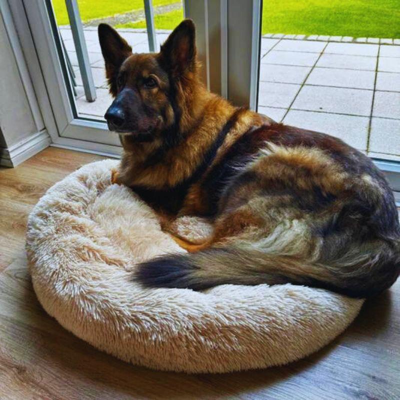 The original Fluffy Plus dog bed