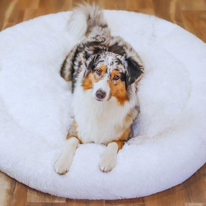 The original Fluffy Plus dog bed