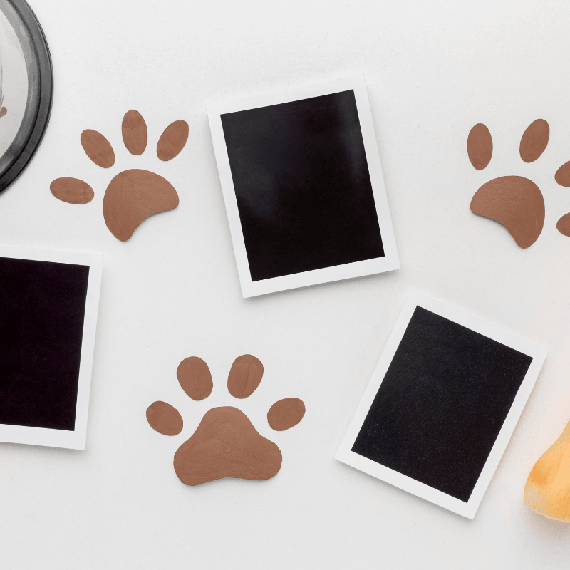 Pet Dog and Cat Paw Print Ink Set