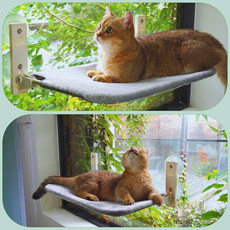 Best Foldable Cat Hammock For Your Kittens!