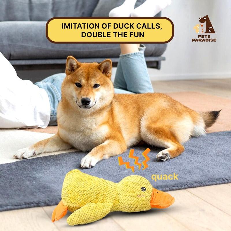 Wuff Duck | Vet-approved Product Of The Year 2024