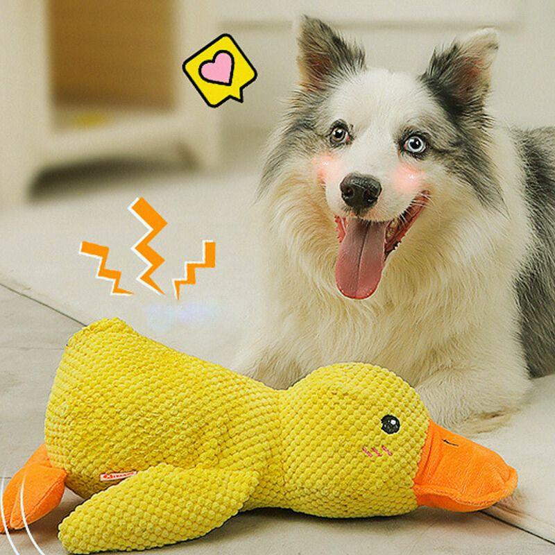 Wuff Duck | Vet-approved Product Of The Year 2024